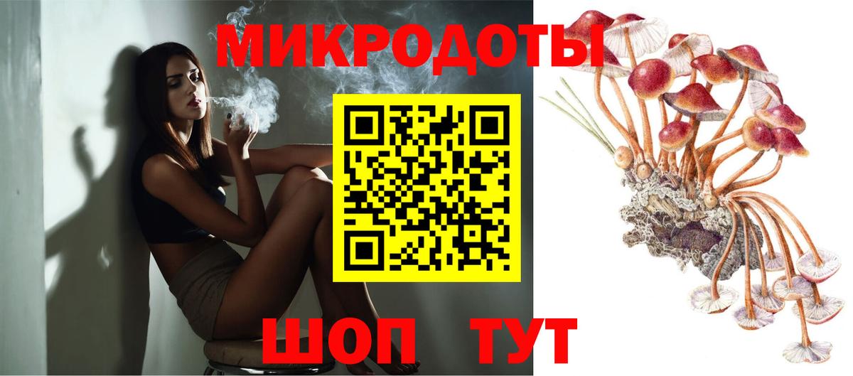 Сердобск  Псилоцибиновые грибы Psilocybine cubensis  Вход с VPN 